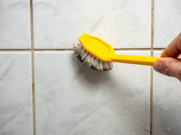 Best Professional Mold Removal  in Perry, FL