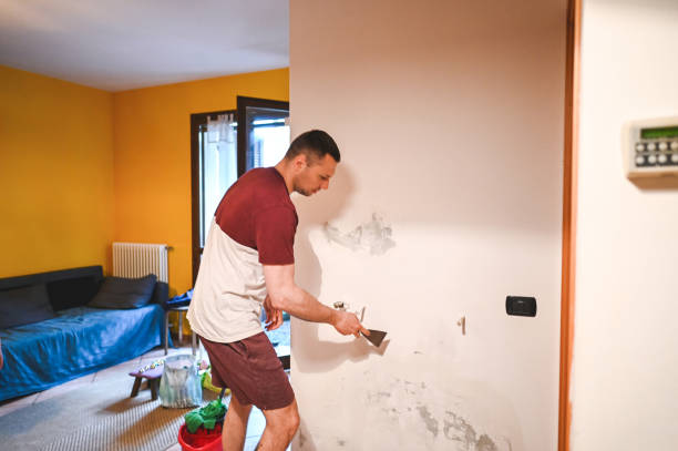 Best Fast Mold Removal  in Perry, FL
