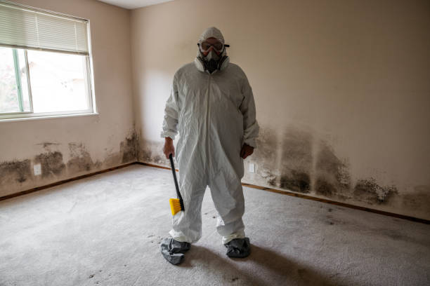 Best Toxic Mold Removal  in Perry, FL